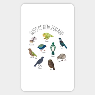 Birds Of New Zealand Sticker